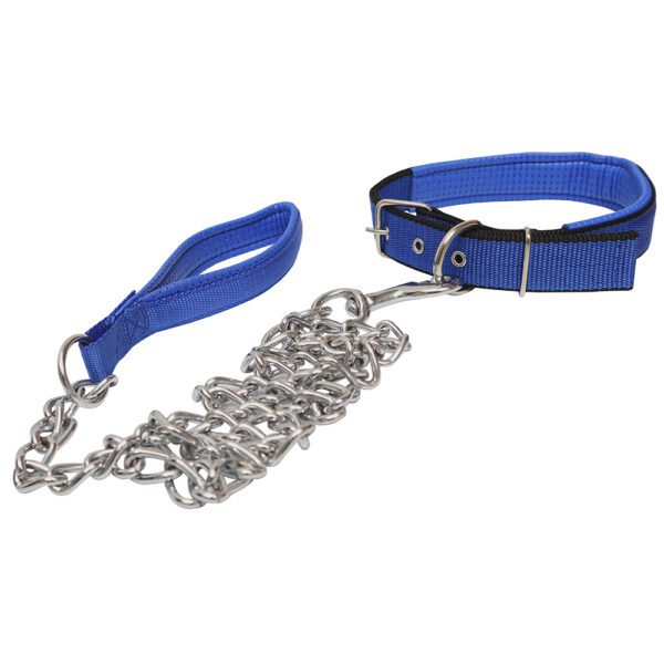 Correa-collar Para Mascotas Trenzada